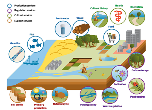 Contingent Valuation Method For Nature Valuation EcoShape